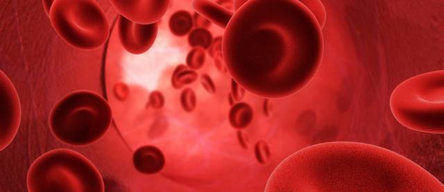 Hány liter vér kering az emberi testben?