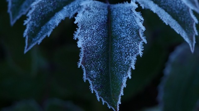 A csillagászati tél kezdetét jelentő téli napforduló Magyarországon decemberben van. Általában hányadikára esik ez a nap?