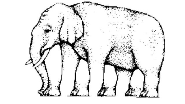 Hány lába van ennek az elefántnak?