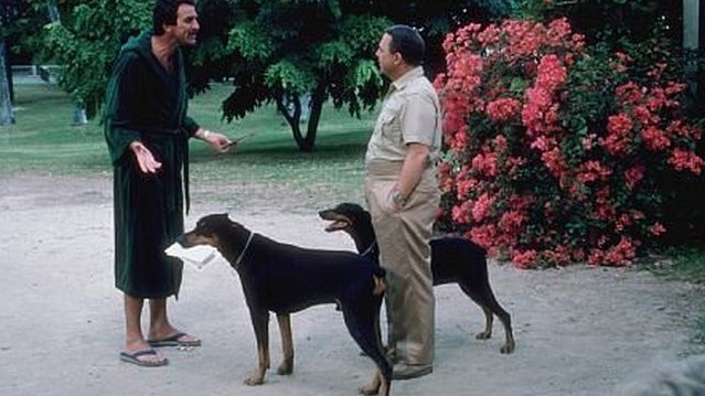 John Hillerman, a Magnum című sorozat egyik főszereplője két kutya gazdája volt a filmben. Hogy hívták az állatokat?