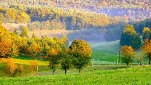 Vas megye délnyugati sarkában található ez az erdőkkel, ligetekkel szabdalt táj. Melyik magyar nemzeti park ez?