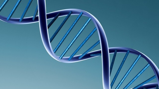 Minek a rövidítése a DNS?