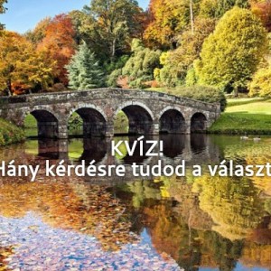 kvizek