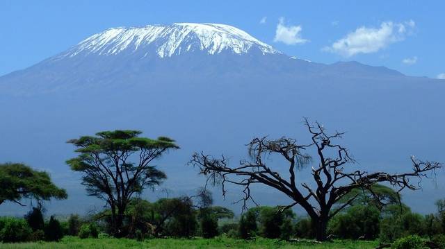 Melyik Afrika legmagasabb hegye?