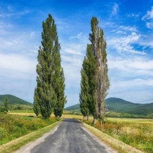 kvizek