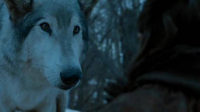 Hogy hívják Arya Stark farkasát?