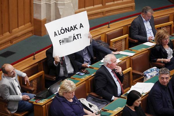 A diplomával felvértezett sötét bunkók diktatúrája. A diplomával felvértezett sötét bunkók diktatúrája.