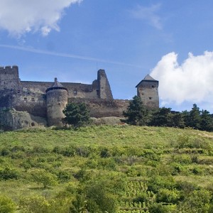 kvizek