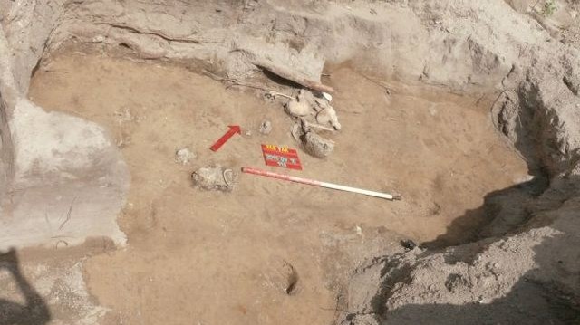 Melyik király sírhelyét találták meg 2015-ben Vácott, a középkori templom feltárása közben?