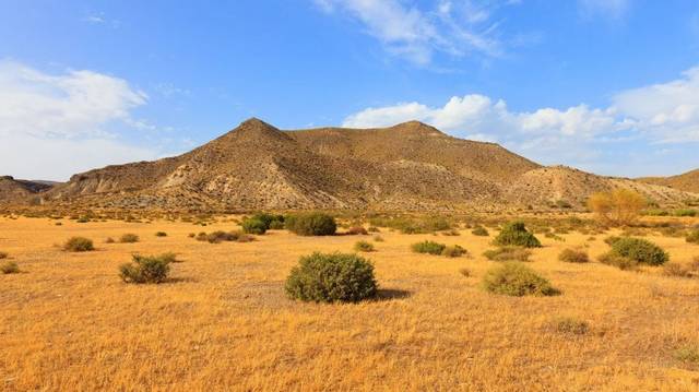 Európa egyetlen sivataga a dél-spanyol Andalúziában lévő Tabernas-sivatag. Átlagosan évente hány nap esik az eső?