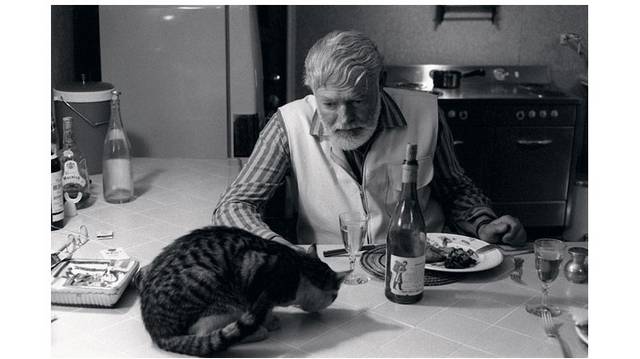 Ernest Hemingway házában, amely ma menhelyként működik, hírességekről elnevezett macskák élnek luxus körülmények között. Milyen különleges ismertetőjelük van?