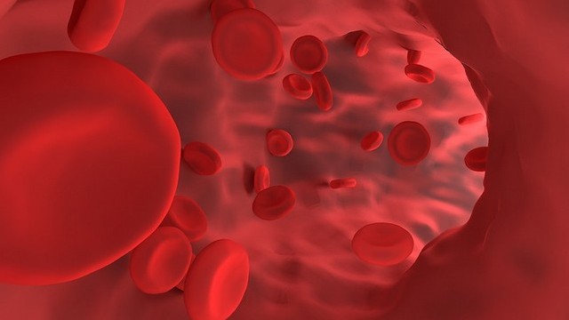 Az alábbiak közül melyik NEM egy vértípus?