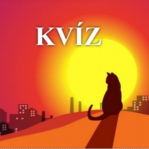 kvizek