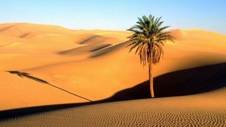 Az alábbiak közül melyik sivatag található Afrikában?