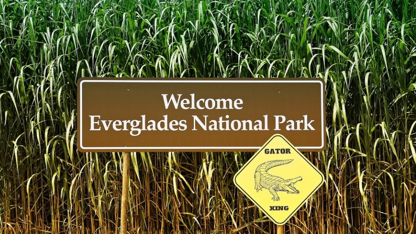 Hol található a Everglades Nemzeti Park?