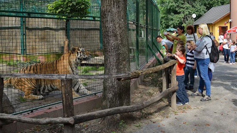 Melyik városban található Magyarország legkisebb állatkertje?