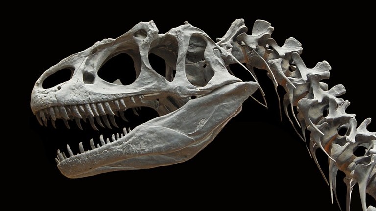 Nagyjából hány millió évvel ezelőtt haltak ki a dinoszauruszok?