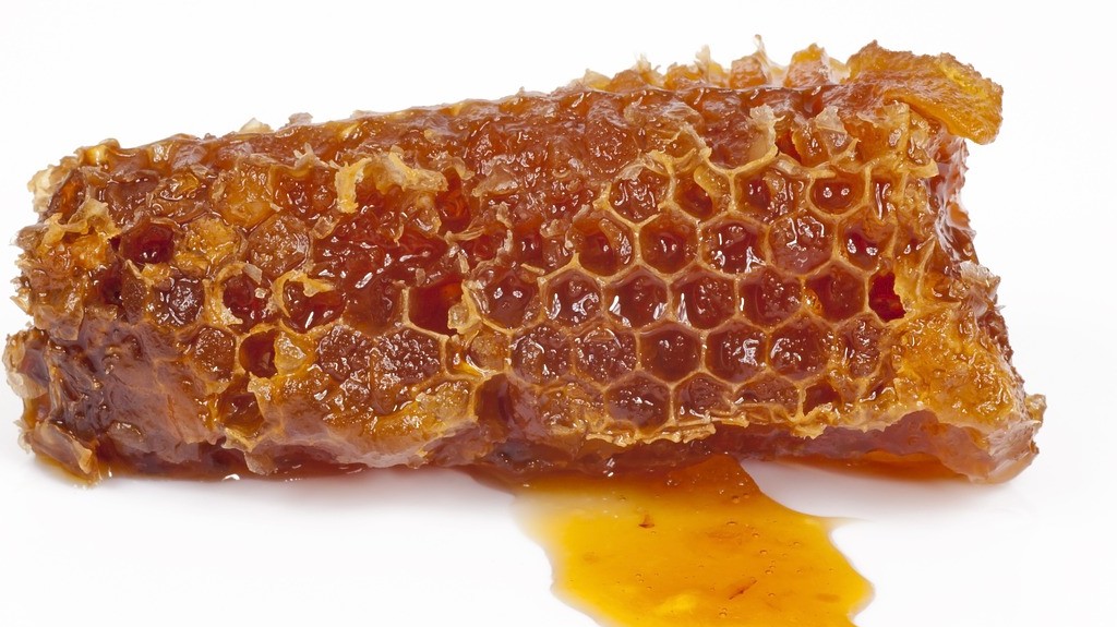 A méhek hol érlelik a mézet?
