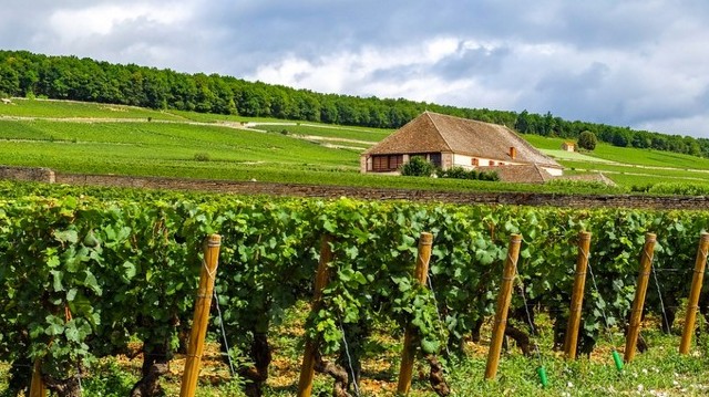 Melyik európai ország történelmi régiója Burgundia (Bourgogne)?