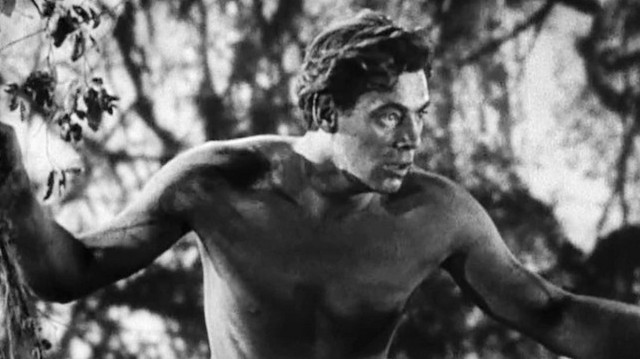 Ő volt az első, aki a 100 méteres gyorsúszás távját egy percen belül teljesítette. A Tarzan-filmek címszereplője.