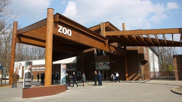 Megközelítőleg hány állatnak ad otthont a Sóstó Zoo?