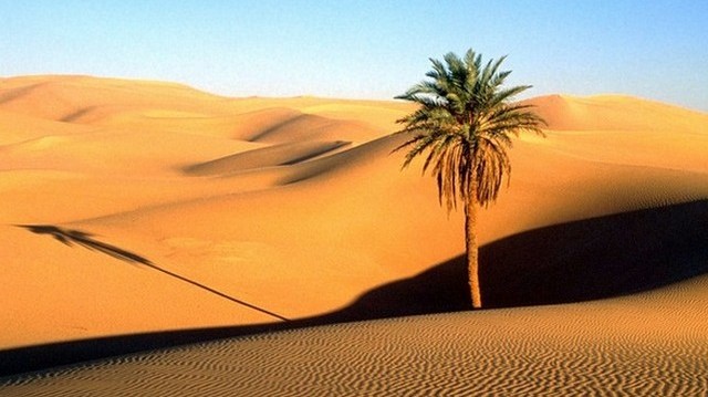Melyik a legnagyobb sivatag a világon?