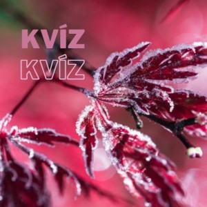 kvizek