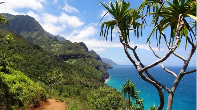 Melyik óceán vagy tenger öleli körül a Hawaii-szigeteket?