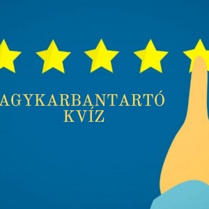 kvizek