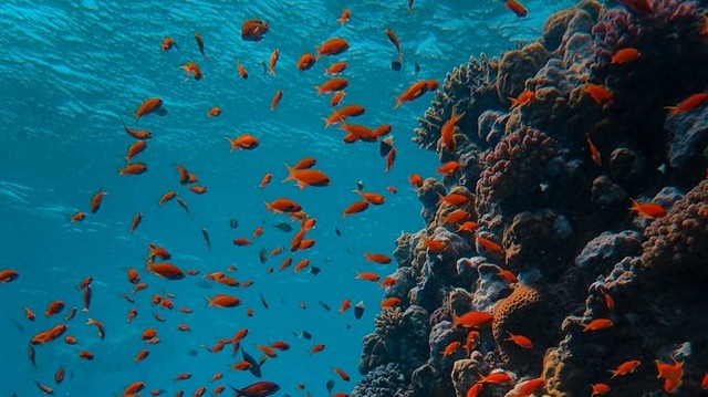 Melyik óceánban található a legmélyebb árok?