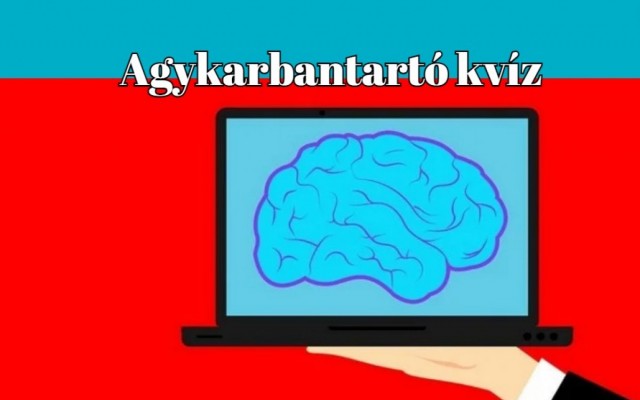 Agykarbantartó kvíz - Ez a kvíz 50%-kal javítja az agy vérkeringését és jobb hangulatot eredményez
