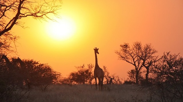 Melyik ország fővárosa Nairobi?