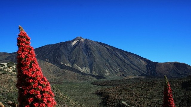 Hol található a Teide vulkán?