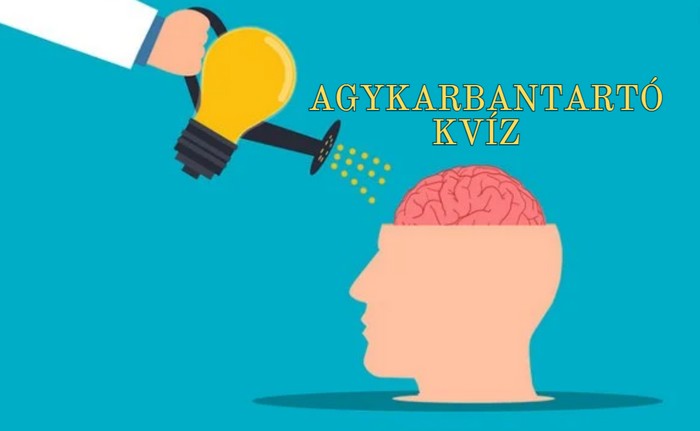 Itt a friss napi agykarbantartó kvíz - Most is kikapcsol és szórakoztat