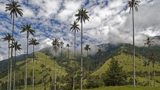 Spanyol gyarmat volt, fővárosa Bogotá