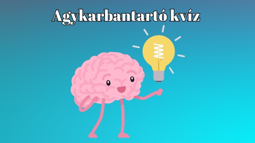 Feje, mint egy hordó – esze, mint egy .... Hogy szól a közmondás?