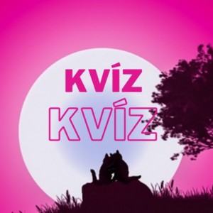 kvizek