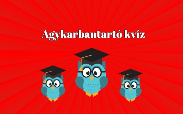 Kvíz - Nyolc észbontó kérdésünk van, amelyek többségére biztosan tudod a helyes választ!