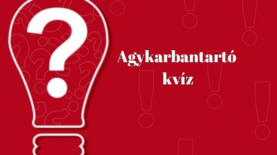 Gyakran vakvezető, mentő- vagy nyomozókutyaként alkalmazzák.