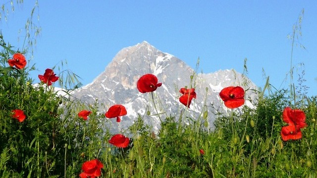 Közel 1200 km hosszú hegyvonulat Olaszországban.