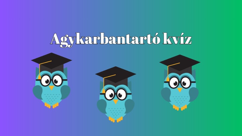 A Balaton melyik partján van Alsóörs?