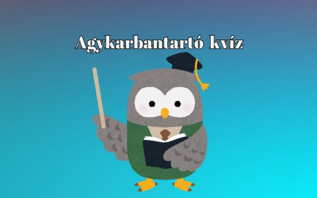 Mutasd meg, hogy mindent tudsz! Egy profi kvízjátékos legalább 7 pontot elér egy ilyen kvízen