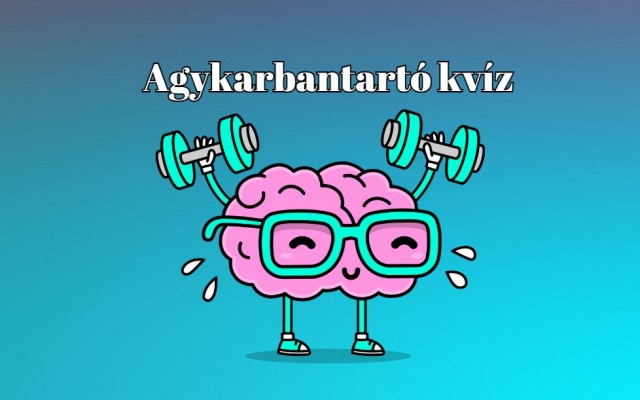 Agypörgető kvíz! Csak a legokosabbak szereznek legalább 6 pontot ezen a kvízen