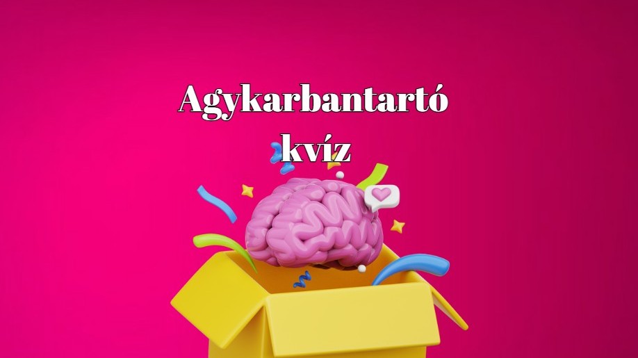 Melyik ország gépkocsijele az LT?