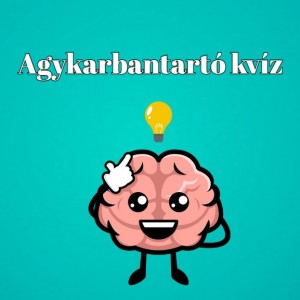 kvizek