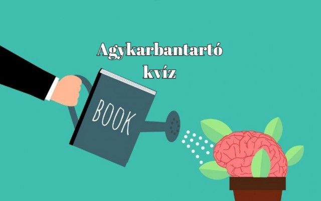 Agykarbantartó kvíz - Ha több mint 5 jó választ adsz ezekre a kérdésekre, átlag feletti a tudásod