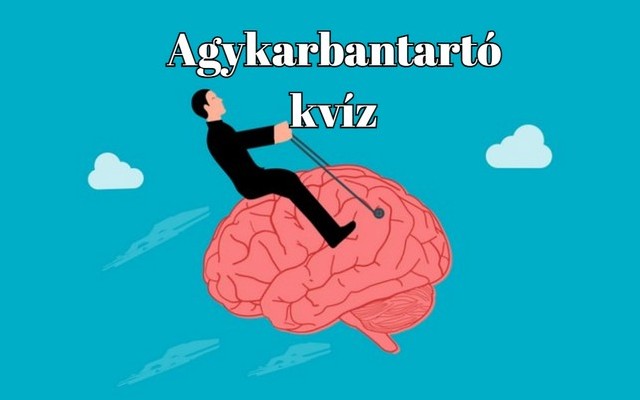 Agykarbantartó napi kvíz - Most kiderül, tudod-e a helyes választ a kérdések 60 százalékára