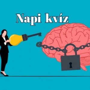 kvizek