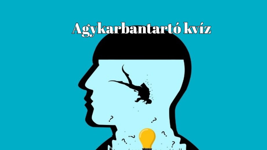 Mit csinál, aki hallucinál?