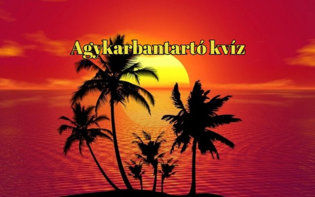 Ez a napi kvíz garantáltan frissen tartja az agyat - Itt a legújabb agytornáztató kvízkérdéssor